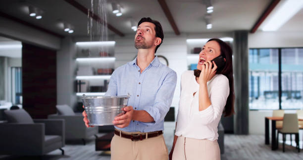 Best Water damage restoration cost  in Altamont, IL